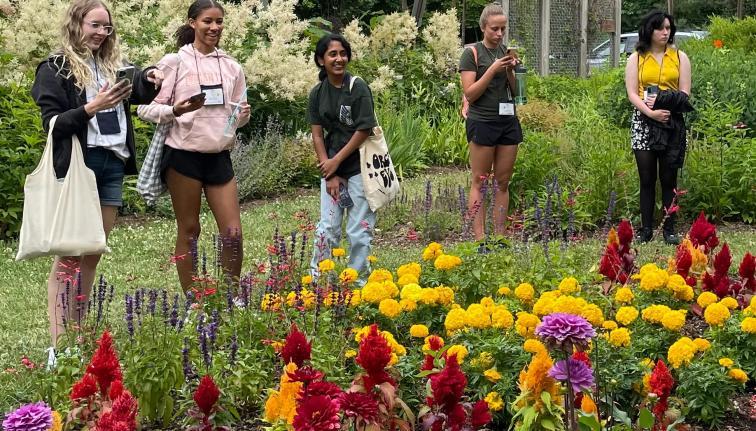 Group of youth girls in a field of flowers