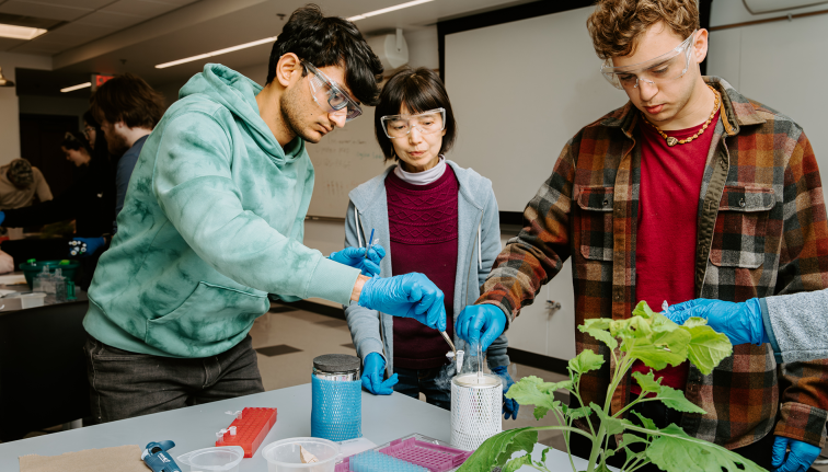 students with colorful shirts work in a lab classroom