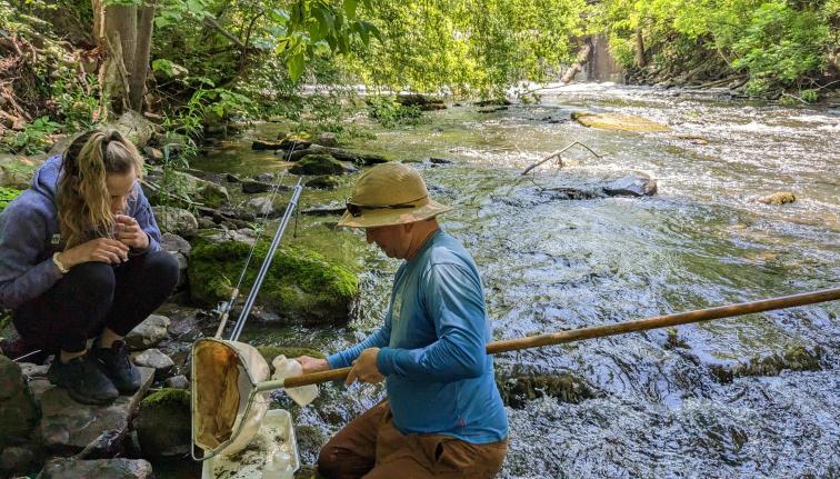 Photograph of two people standing at the edge of stream looking into a net with organisms in it.
