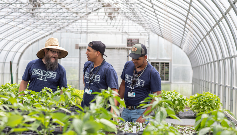 two students in blue shirts talk to a professor in a big hat in a greenhouse