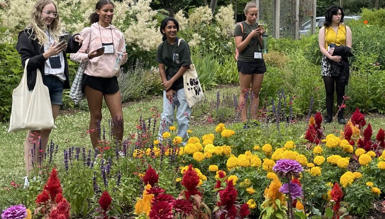 Youth observing flowers