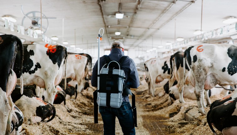 Jason Oliver, Senior Extension Associate and Dairy Environmental Systems Engineer, PRO-DAIRY, examines methane emissions data captured by a wearable device that measures emissions live in the field at the Cornell University Ruminant Center