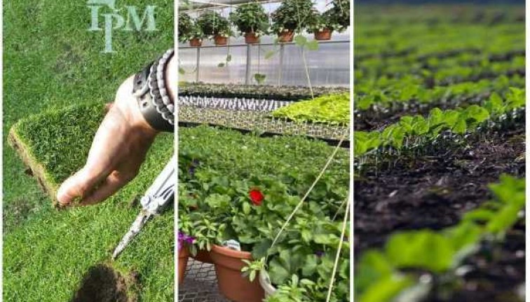 Images of plants and crops from IPM