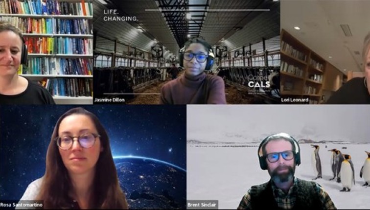 New faculty webinar screen grab