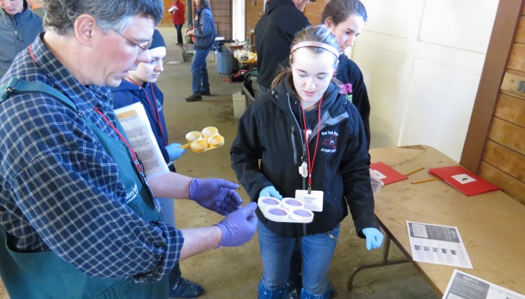 conducting a Standart Plate Count test
