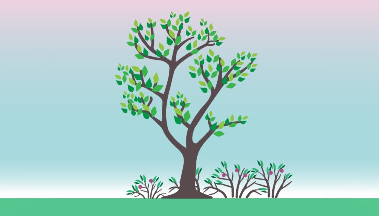 illustration of tree in spring