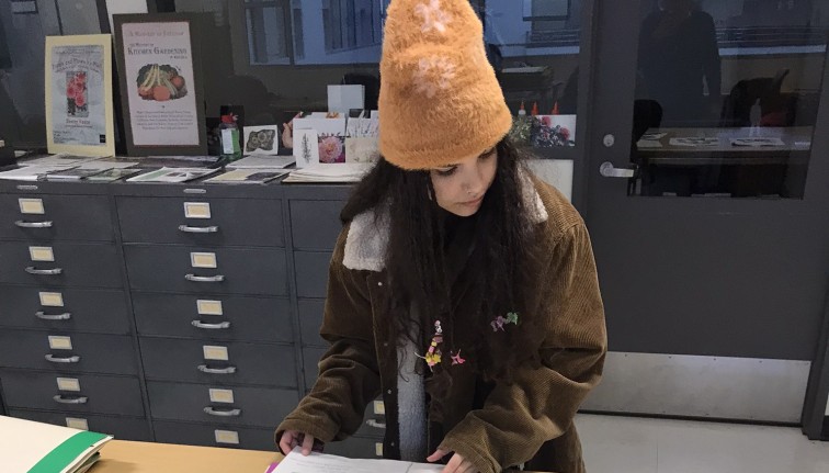 Cornell Student working on Herbarium Specimens on table