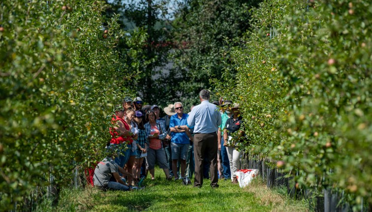 people at the Cornell Orchards