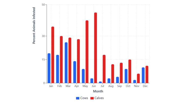 A chart showing percent of animals infested (vertical axis) by month (horizontal). Grouped bars show cows (blue) and calves (red). Both show higher infestation incidence early in the year, declining in the second half. Cows peak at about 25% in March, while calves peak later in June at about 45%. Overall, calves have higher incidence than cows.