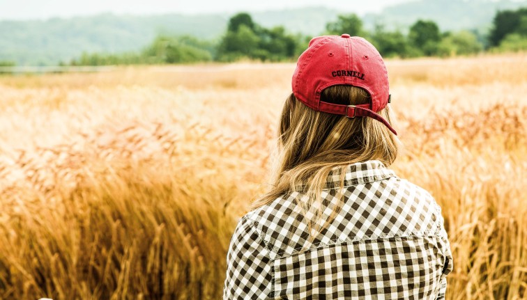 small grains, cornell cap