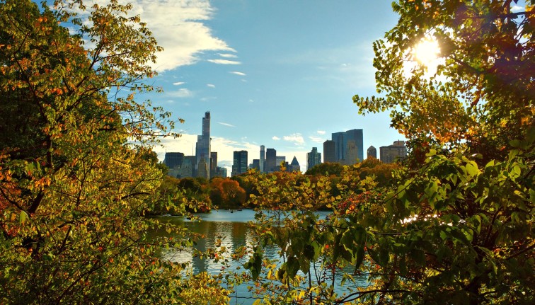 A picturesque landscape view framed by lush green and yellowing tree branches. The bright sun peeks through the foliage on the right, creating a sunburst. In the center, a calm lake reflects a blue sky with scattered clouds. Small boats dot the water, and a dense city skyline with tall skyscrapers rises in the background behind autumn trees.
