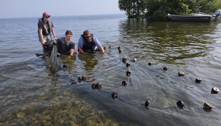 a group of people using seining nets in a lake