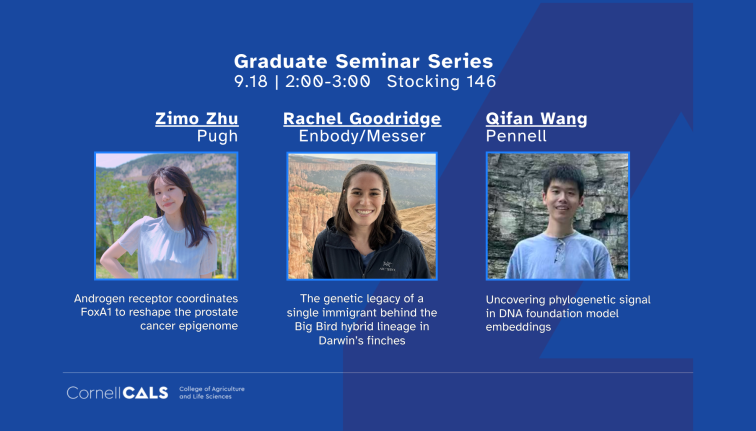 three students with presentation titles