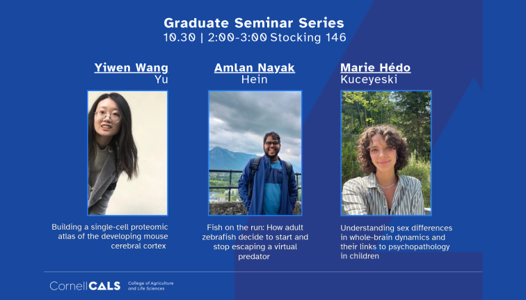 three students with presentation titles