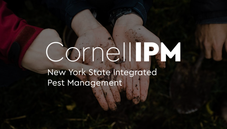 Bold, white text on a single line at the top center spell out "Cornell IPM" while smaller text on two lines below spell out "New York State Integrated Pest Management"