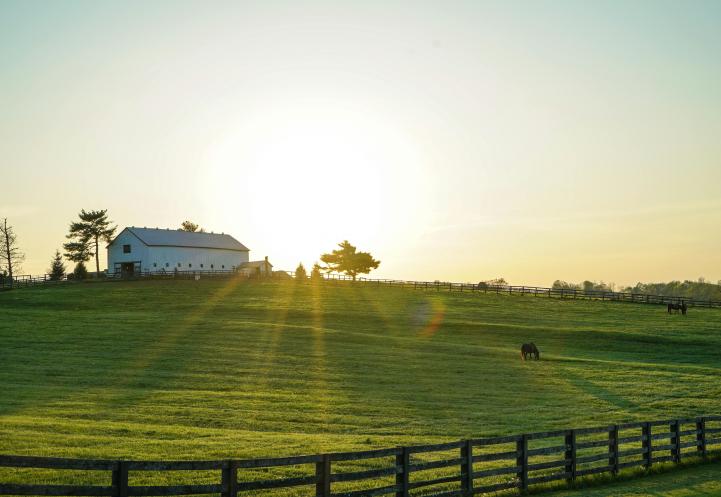 A white farm house with the sun shining behind it and a pasture in front with a grazing animal