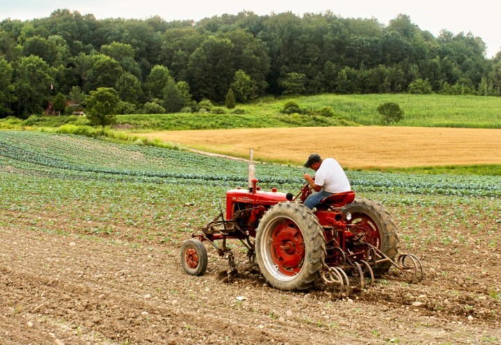 Farmer plows field on a tractor