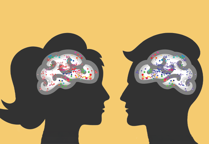 Illustration of silhouettes of two people and their brains.
