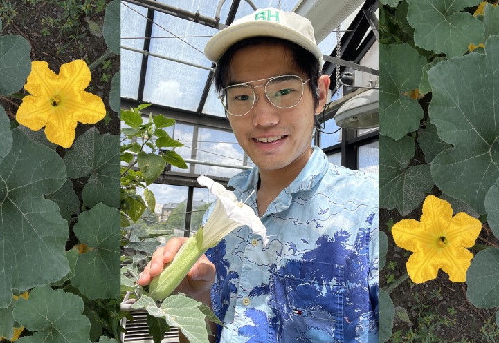 Jonathan Chai in a green house with datura and squash flowers