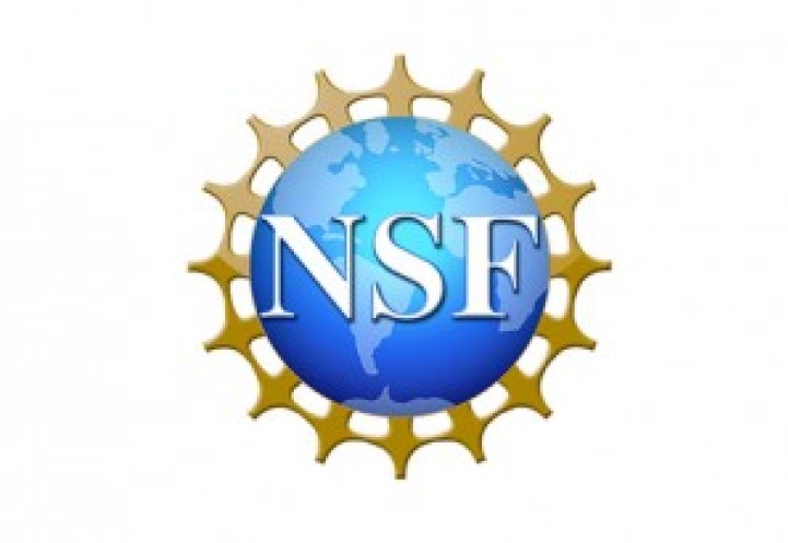 NSF logo