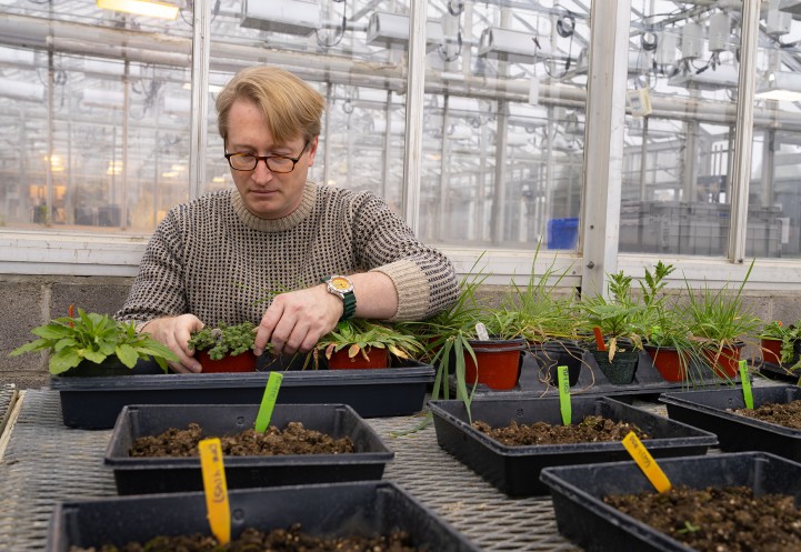 Scott Morris with plants in a greenhouse