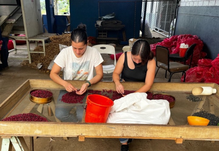 Yoselyn Hernández Chaves (left), master's student in applied economics and management, studied consumer and industry preferences on red beans in Costa Rica last summer. 