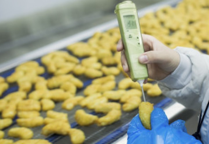Researcher using a food thermometer