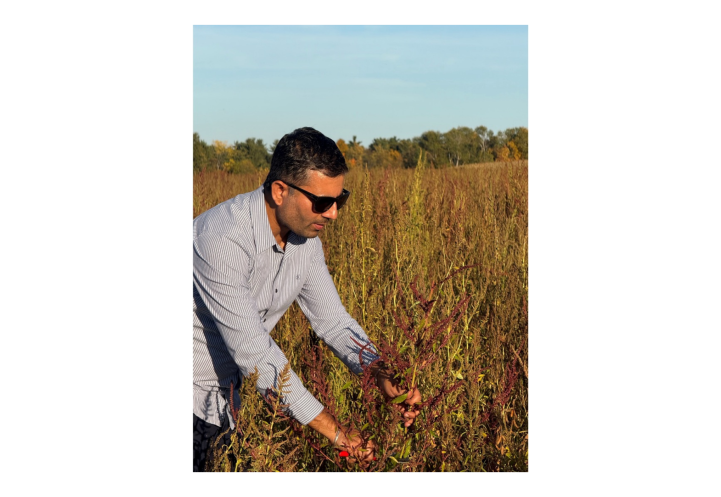 Vipan Kumar in a water hemp field