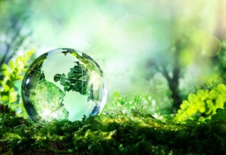 illustration of a glass earth on a forest floor.