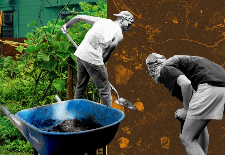 Illustration of people gardening