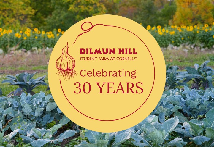 Farm fields, and text: Dilmun Hill celebrating 30 years