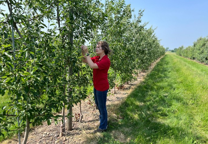 Riley Harding works in an orchard.
