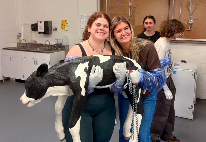 two women hold a manequin of a newborn calf