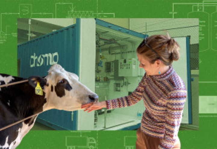 Illustration of woman touching cow with a background of a building schematic