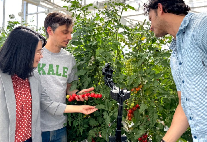 Lirong Xiang/Provided Cornell researchers stand with an autonomous biosecurity system in a tomato greenhouse. With support from a 2026 Academic Venture Fund, they will develop robotic and diagnostic technologies to improve early detection of plant diseases and strengthen climate-resilient greenhouse agriculture.