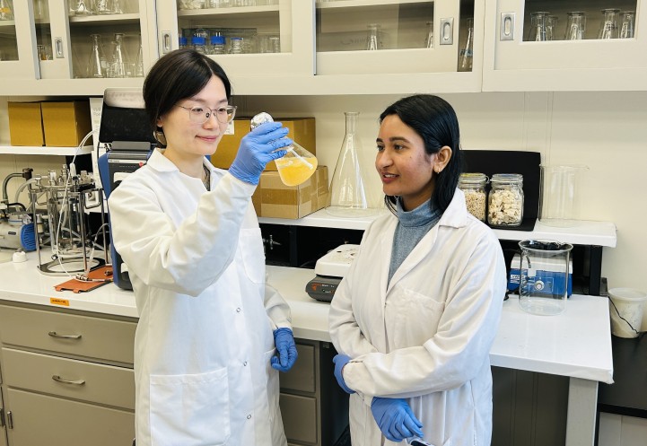 Assistant professor Ke Wang and postdoctoral associate Krishna Sahoo