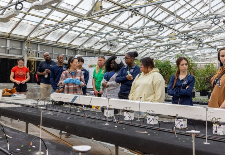 Students at the Center for Research on Programmable Plant Systems