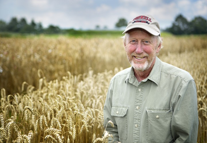 Mark Sorrells in front of small grains field