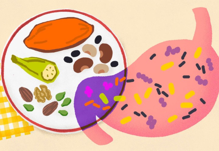 Illustration of a plate of food on a table with an image of an intestine overlapping