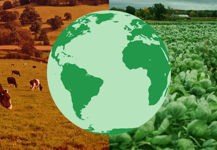 Illustration of the Earth in green with photo of cows grazing on the left side and crops on the right side