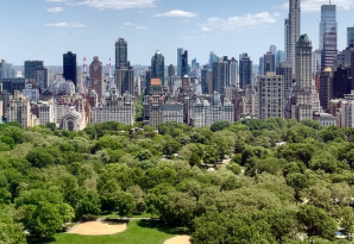 NYC skyline from central park