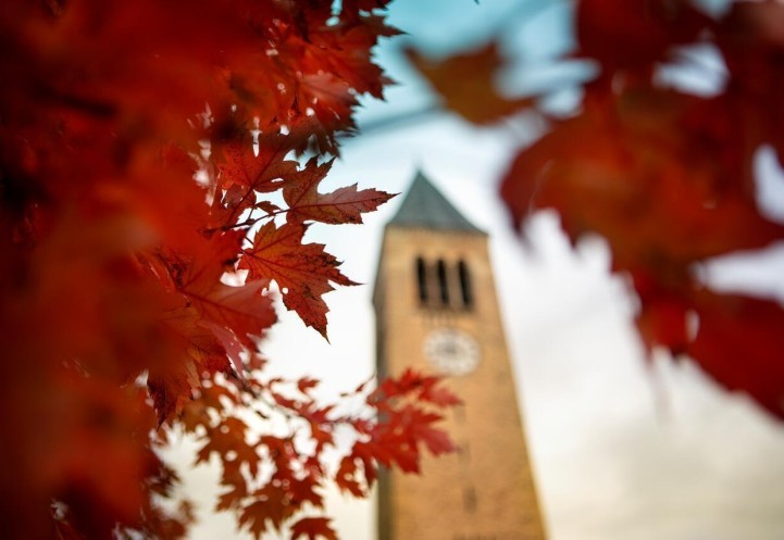 image of clock tower with leaves in forefront