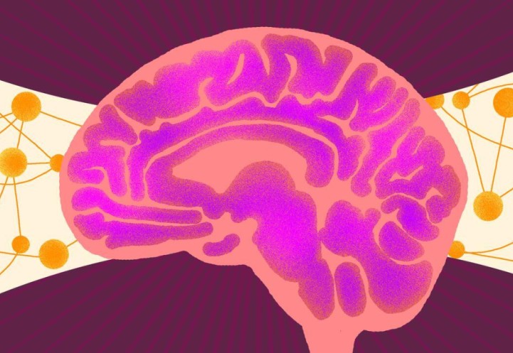 Illustration of a brain in the color of pink surrounded by molecules