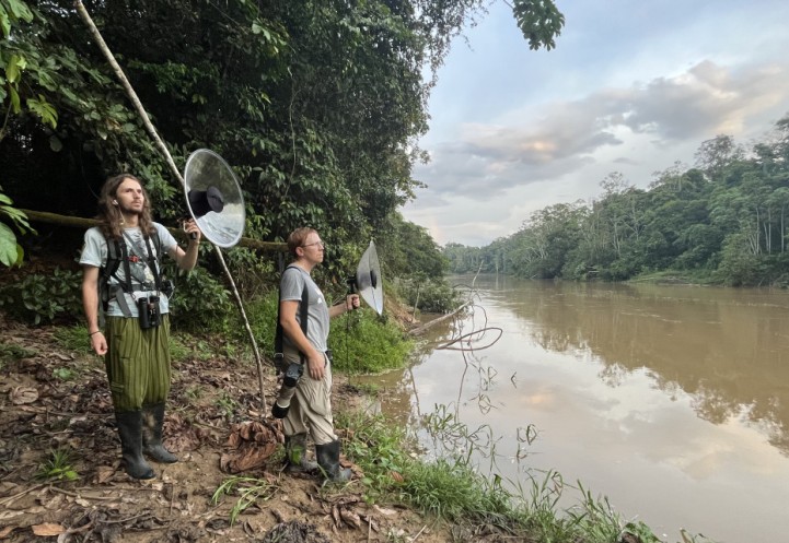 Researchers in the Ecuadorian Amazon use AI-powered acoustic identification to monitor birds as part of a seed grant-funded project.