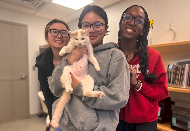 three women stand together while one of them holds a cat with a shaved belly