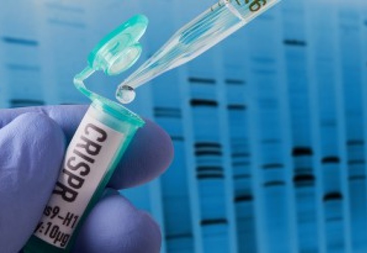 gene editing 