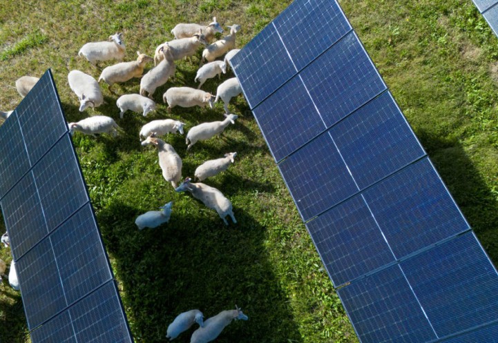 A solar farm in Lansing, New York.