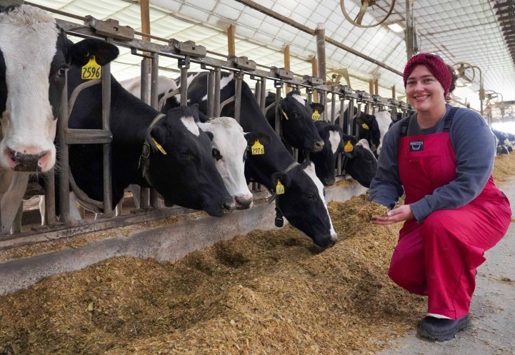 a woman crouches down in front of a row of cows and holds some feed in her hand