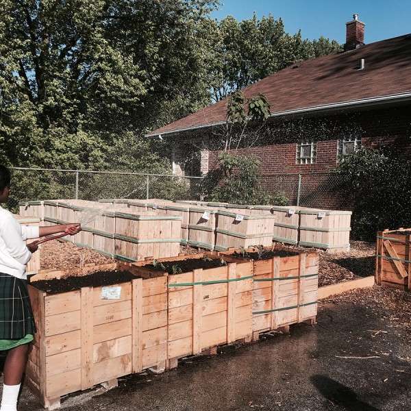 A student at the Vanderpoel School in Chicago waters the community garden