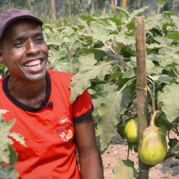 farmer in field